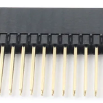40 Pin Double Header Female 2.54mm 2 pack